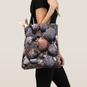 Ausgebogte bunte Seashells auf einem schwarzen Tasche (Von Nahem)
