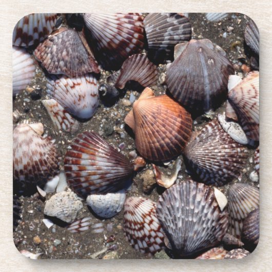 Ausgebogte bunte Seashells auf einem schwarzen Untersetzer (Vorderseite)