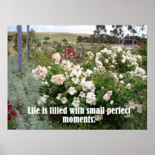 Ausgefüllt mit perfektem Moments Garden Blume Post Poster