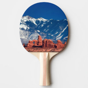 Ausgeglichene Felsen-Spur Tischtennis Schläger