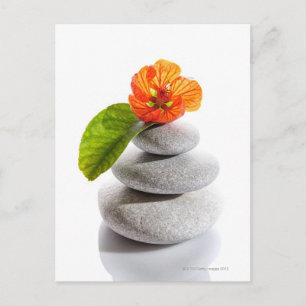 Ausgeglichene Steine und rote Blume Postkarte