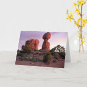 Ausgeglichener Felsen Karte (Gelbe Blume)