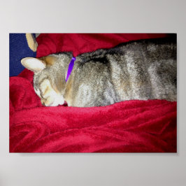 Ausgelassene Indizes Poster