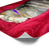 Ausgelassene Indizes Poster (Ecke)