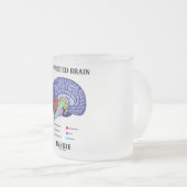 Ausgelassenes Gehirn im Innern (anatomischer Spaß  Mattglastasse (VorderseiteRechts)