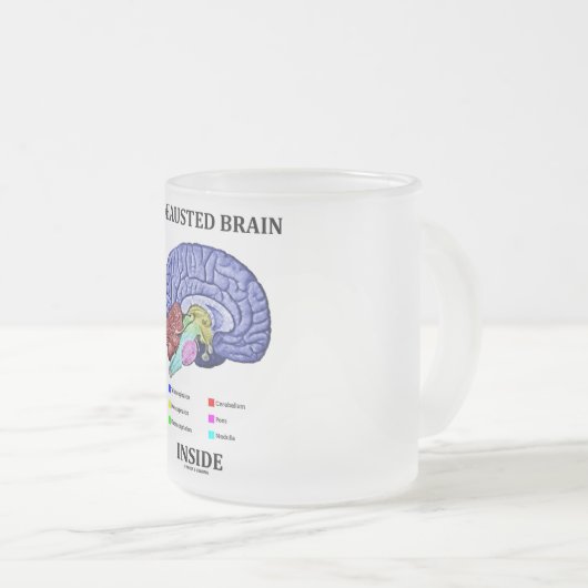 Ausgelassenes Gehirn im Innern (anatomischer Spaß Mattglastasse (VorderseiteRechts)