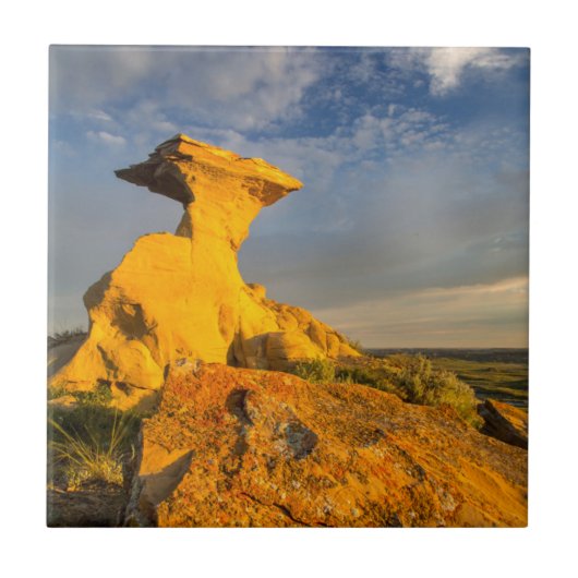Ausgemesserte Badlands-Formation in Kurzem Gras Fliese (Vorderseite)