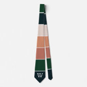 Ausgereifter Farbblock in Blau, Grün und Rosa Krawatte (Vorderseite)