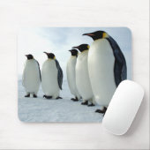 Ausgerichtete Kaiser-Pinguine Mousepad (Mit Mouse)
