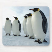 Ausgerichtete Kaiser-Pinguine Mousepad (Vorne)