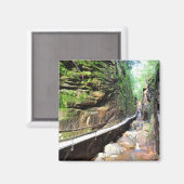 Ausgesetzte Trasse Stream Franconia Notch NH Magne Magnet (Vorderseite/Rückseite)