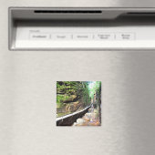 Ausgesetzte Trasse Stream Franconia Notch NH Magne Magnet (In Situ (Geschirrspüler))