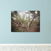 Ausgespannte Waffen Leinwanddruck (Insitu (Holzboden))