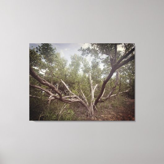 Ausgespannte Waffen Leinwanddruck (Vorderseite)