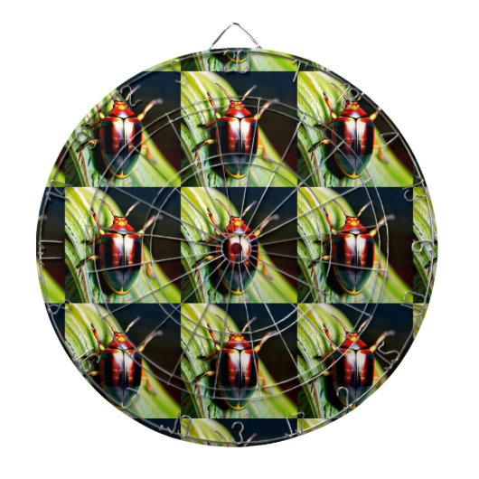 ausgestopft dartscheibe (vorne)