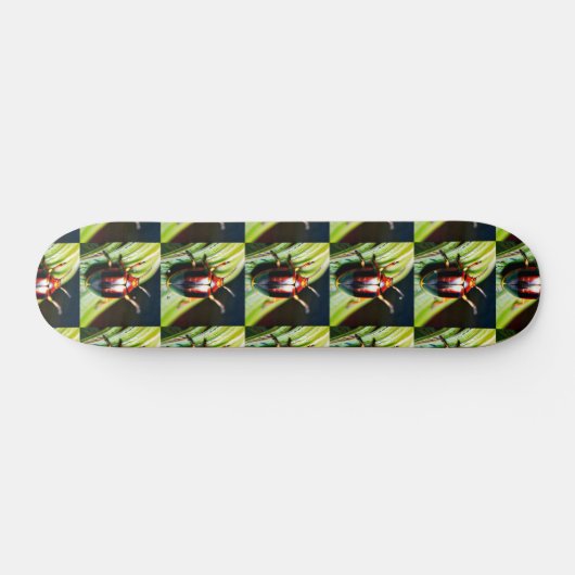 ausgestopft skateboard (Horizontal)
