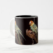 Ausgestorbener CarolinaParakeet Zweifarbige Tasse (Vorderseite Links)