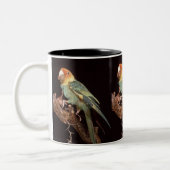Ausgestorbener CarolinaParakeet Zweifarbige Tasse (Links)