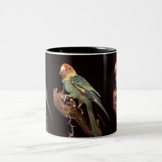 Ausgestorbener CarolinaParakeet Zweifarbige Tasse (Mittel)