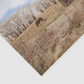 Ausgetragener Stall und Pferde auf einem Feld Seidenpapier (Ausschnitt)