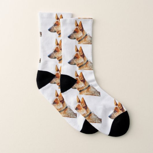 Ausgewachsener männlicher Känguru rote Heeler Socken (Paar)