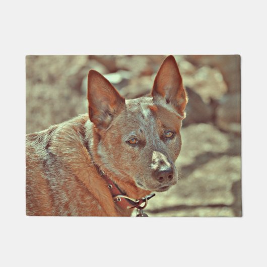 Ausgewachsener männlicher Känguru rote Heller Fußmatte (Vorderseite)