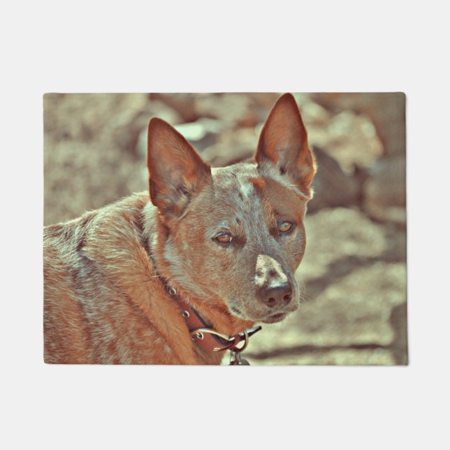 Ausgewachsener männlicher Känguru rote Heller Fußmatte (Vorderseite)