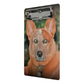 "Ausgewachsener männlicher Känguru" roter Heeler Mini Klemmbrett (Gewinkelt2)