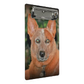 "Ausgewachsener männlicher Känguru" roter Heeler Mini Klemmbrett (Schrägansicht)