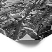 Ausgewählte Blume Poster (Ecke)