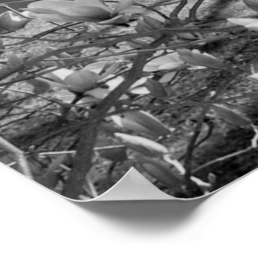 Ausgewählte Blume Poster (Ecke)