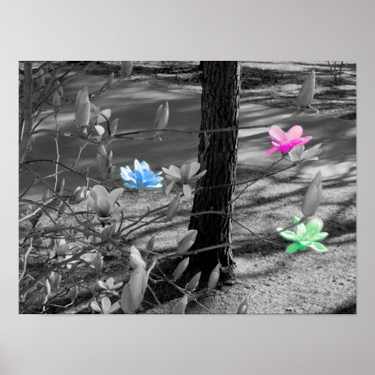 Ausgewählte Blume Poster (Vorne)