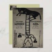 Ausgewogenheit eines lebenden Donkey ~ Postkarte (Vorne/Hinten)