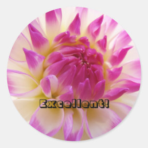 Ausgezeichnet! Aufkleber nach Pink Dahlia Blume