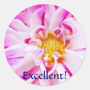 Ausgezeichnet! Aufkleber Pink Weiße Dahlia-Blüte