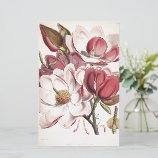 Ausgezeichnete Magnolie Briefpapier (Stehend Vorderseite)