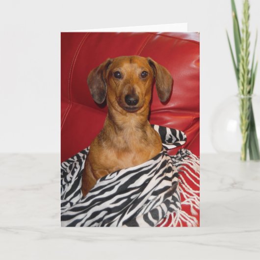 AUSGEZEICHNETE MICKEY GRUSS-KARTE KARTE (Vorderseite)