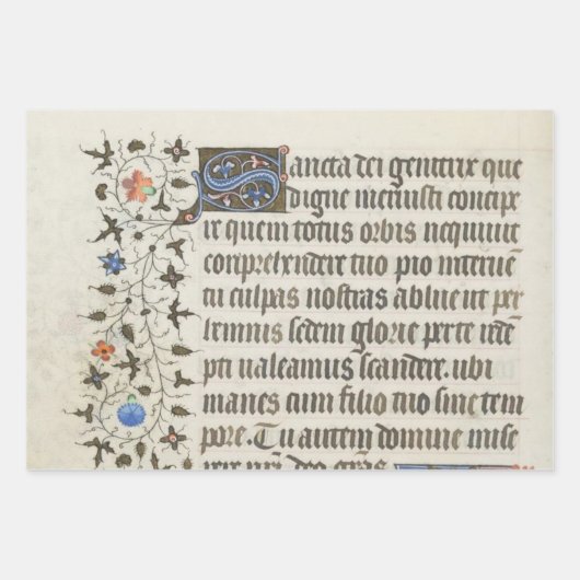 Ausgezeichnete mittelalterliche Illustrierte Manus Geschenkpapier Set (Vorderseite 3)