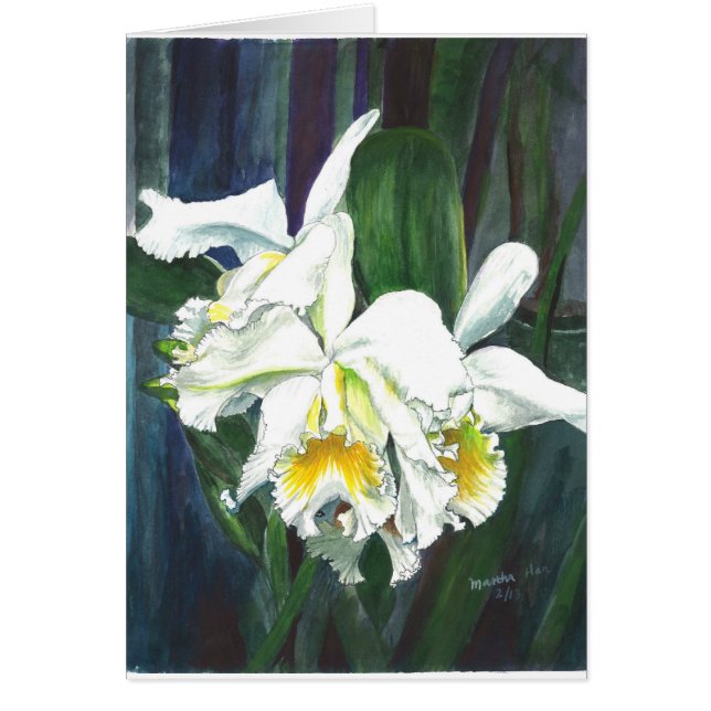 Ausgezeichnete Orchideen (Vorne)