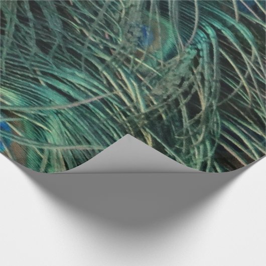 Ausgezeichnete Pfau-Federn Geschenkpapier (Ecke)