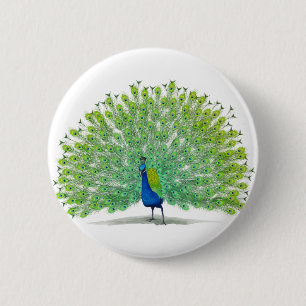 Ausgezeichnete Pfau-Kunst Button