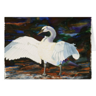 Ausgezeichneter Cygnus