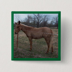 Ausgezeichnetes Maultier! Button/Knopf Button