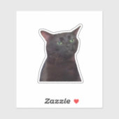 Ausgezogene Katze, schwarze Katze, die Meme ausgez Aufkleber (Blatt)