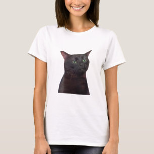 Ausgezogene Katze, schwarze Katze, die Meme ausgez T-Shirt