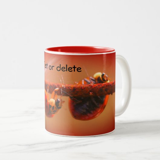 Ausgleich Ladybugs Natur Personalisiert Zweifarbige Tasse (VorderseiteRechts)