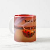 Ausgleich Ladybugs Natur Personalisiert Zweifarbige Tasse (Vorderseite Links)