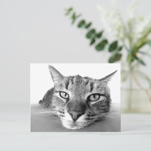 Auskühlen der Postkarte (Stehend Vorderseite)