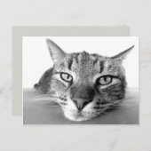 Auskühlen der Postkarte (Vorne/Hinten)