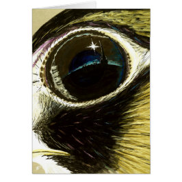 Ausländischer Augenfreier raum